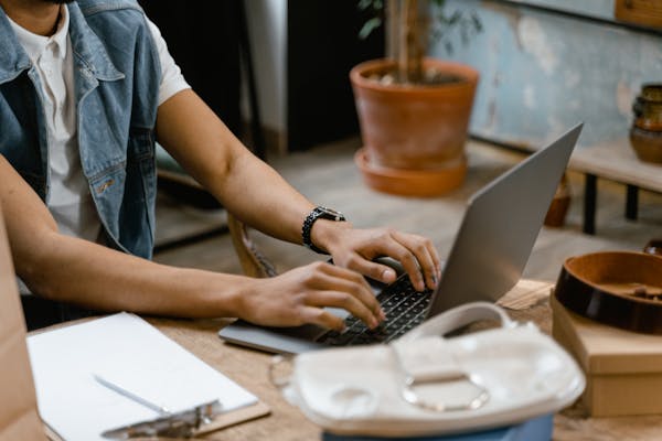 Enterprise IT professional managing internal network systems